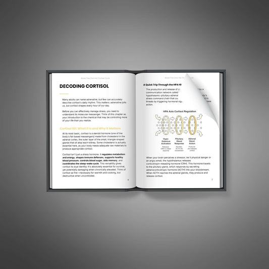 Break Free from the Cortisol Cycle