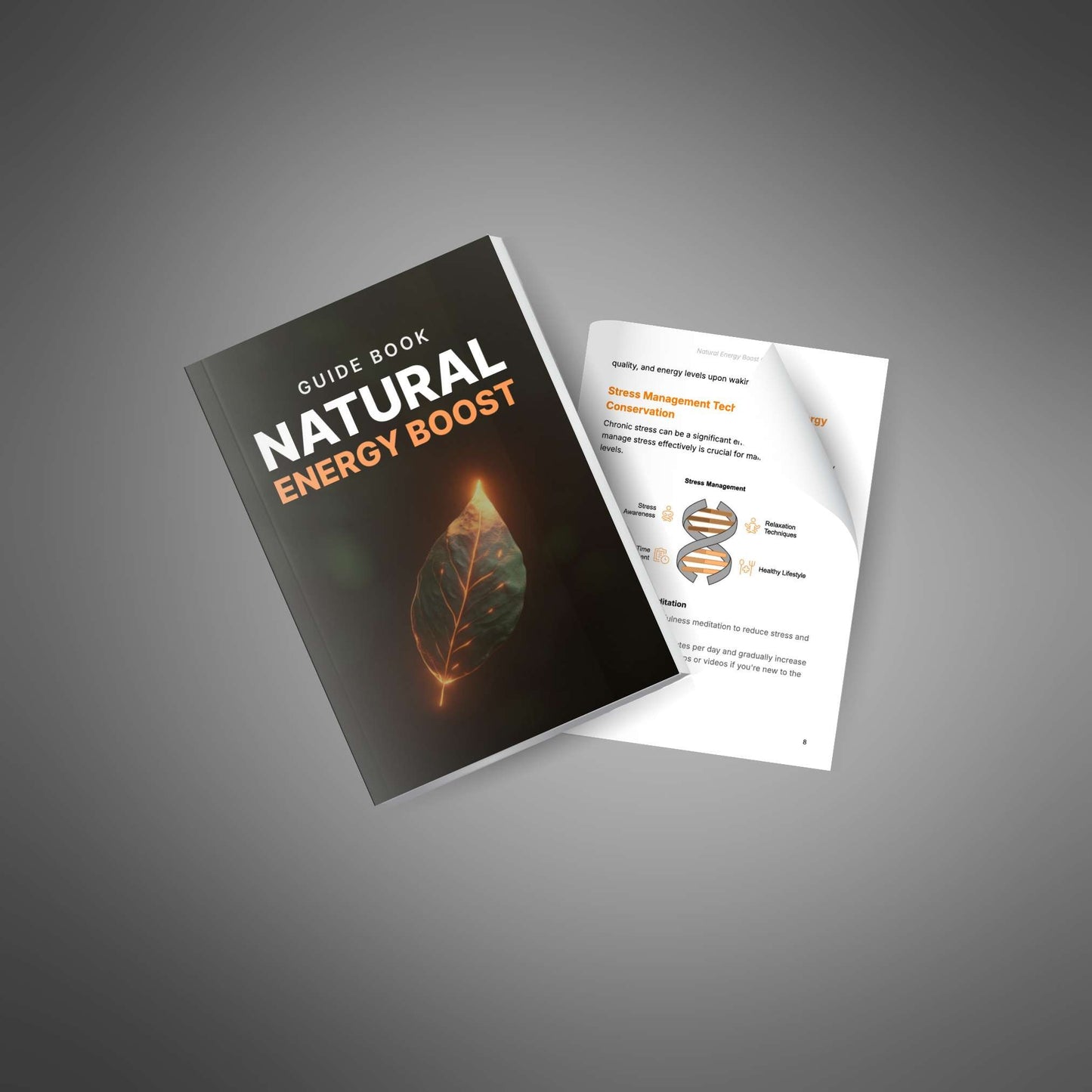 Natural Energy Boost - Guide