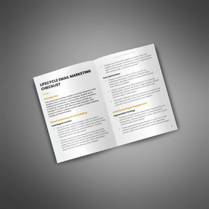Lifecycle Email Marketing - Prompts