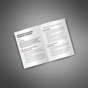 MicroSaas Success Blueprint - Prompts