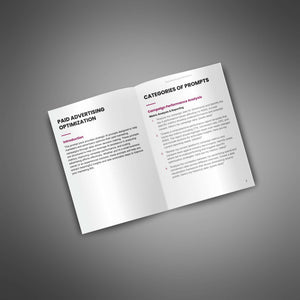 Paid Advertising Optimization