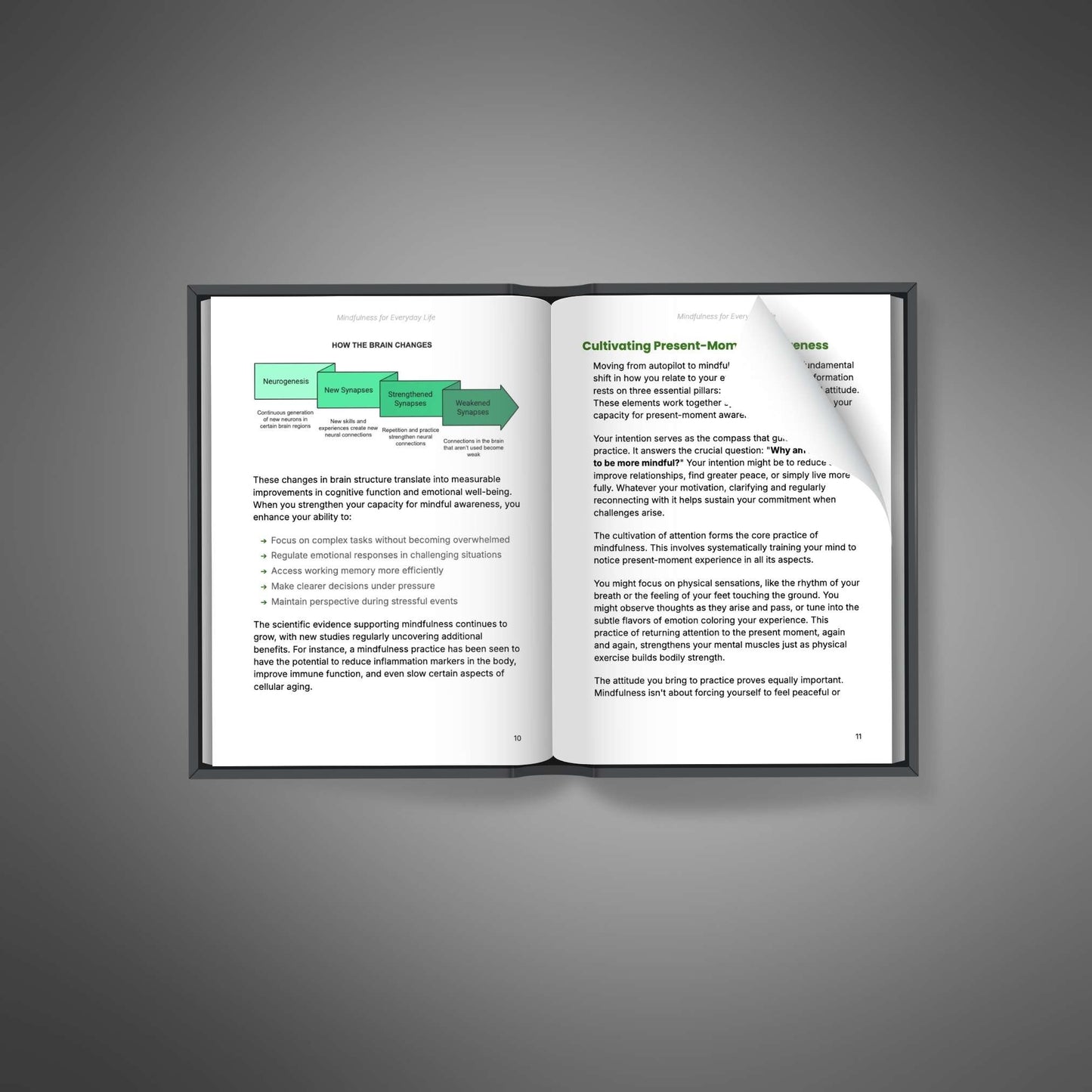 Mindfulness for Everyday Life