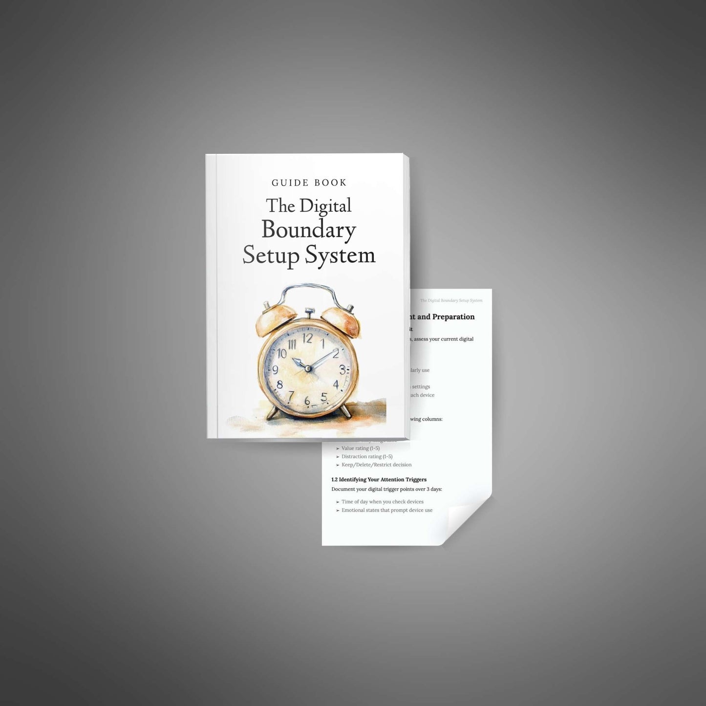 The Digital Boundary Setup System