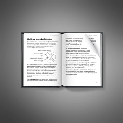 The Power of Attention