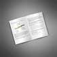 90-Day Safety Culture Implementation Roadmap