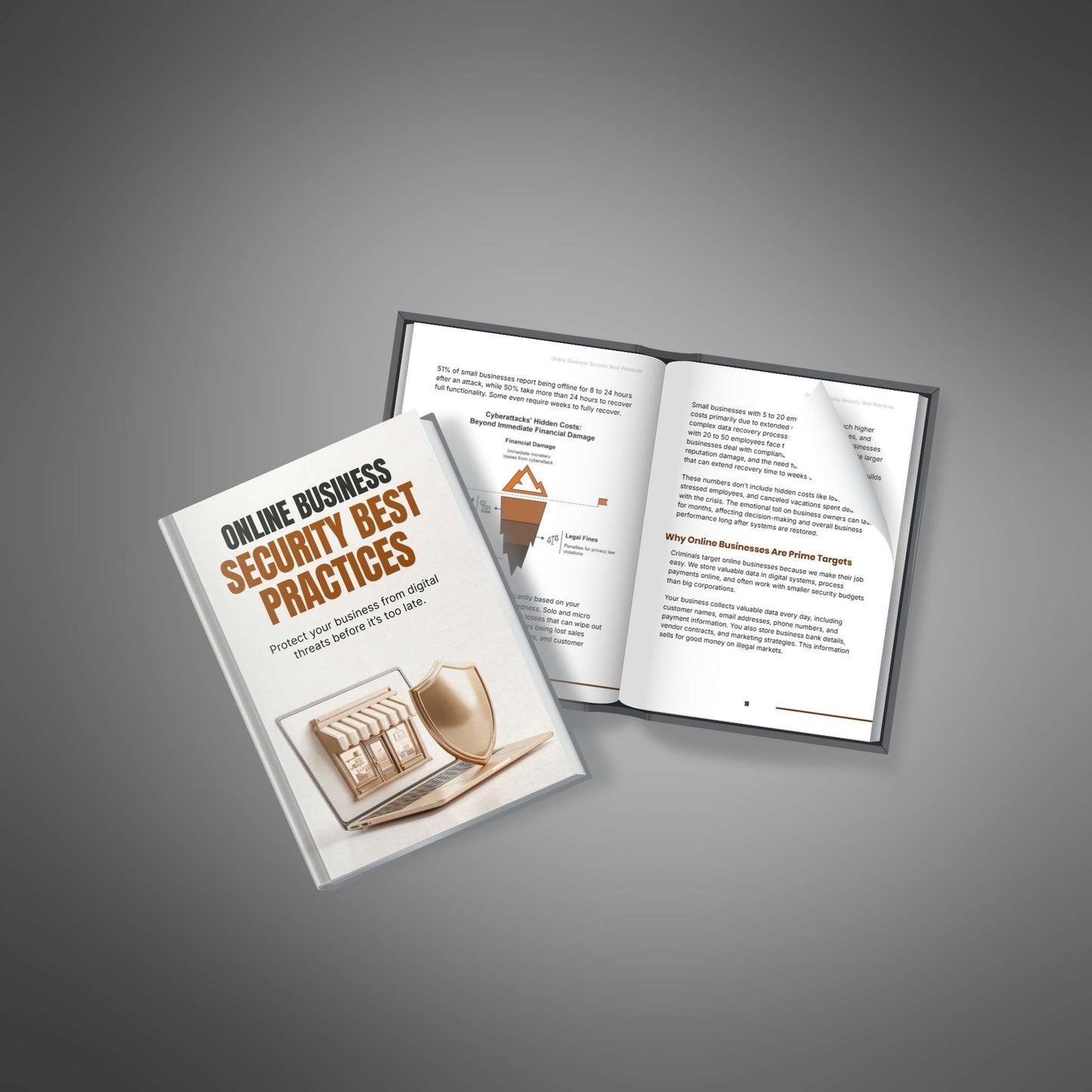 Online Business Security Best Practices