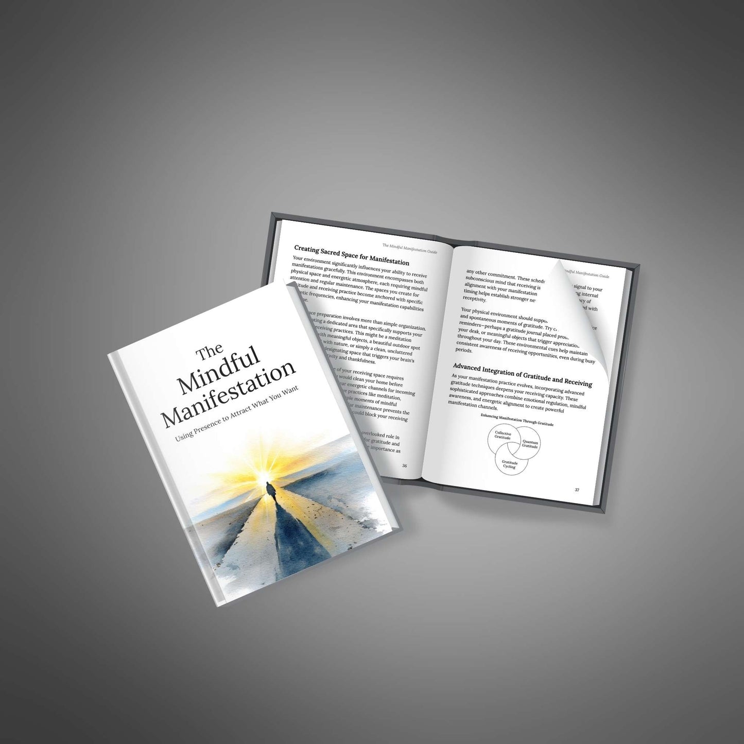 The Mindful Manifestation